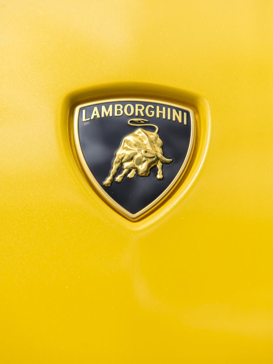 Логотип Lamborghini Centenario Coupe 2016 года  (NA) (фото 26 из 30)